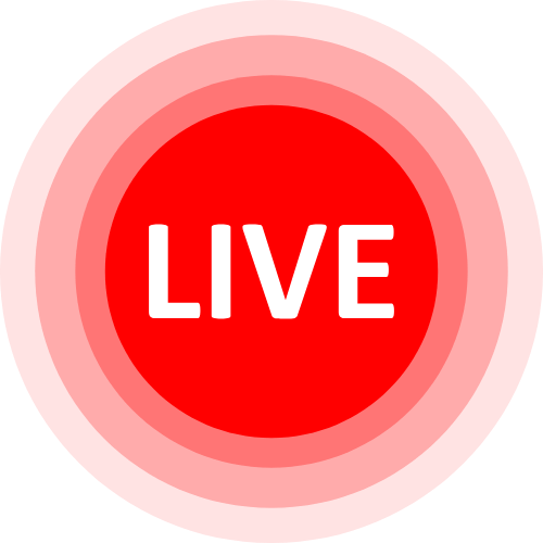 Bdsmi